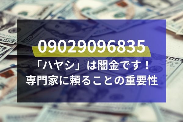 09029096835「ハヤシ」は闇金です！専門家に頼ることの重要性